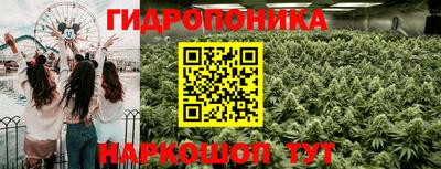 прущие крисы Конаково