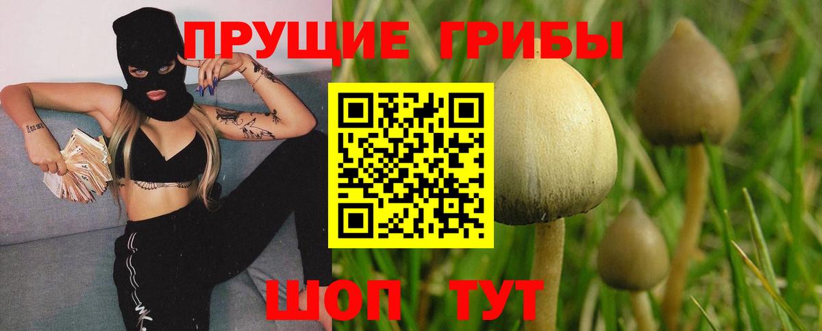 Псилоцибиновые грибы Cubensis  Галлюциногенные грибы мухоморы  Вход с VPN  Карталы 
